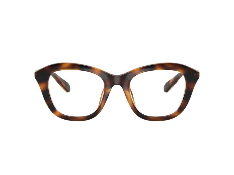 Swarovski Glasögon SK 2042U 1002