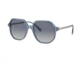 Swarovski Solglasögon SK 6003 10354L