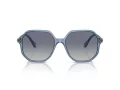 Swarovski Solglasögon SK 6003 10354L