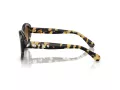 Swarovski Solglasögon SK 6005 100913