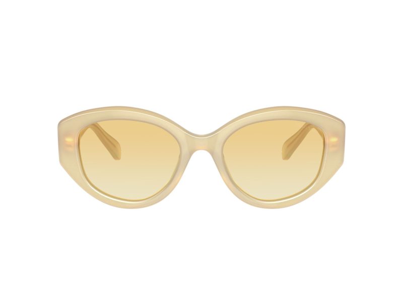 Swarovski Solglasögon SK 6005 10232Q