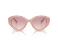 Swarovski Solglasögon SK 6005 102568