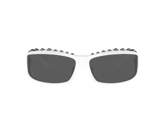 Swarovski Solglasögon SK 6009 102987
