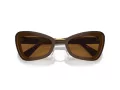 Swarovski Solglasögon SK 6012 101173