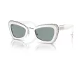 Swarovski Solglasögon SK 6012 1012/1