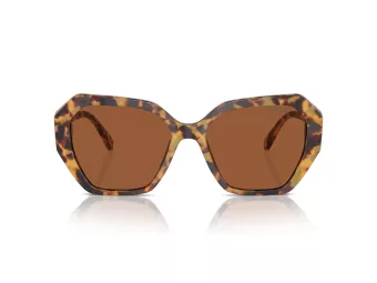 Swarovski Solglasögon SK 6017 100473
