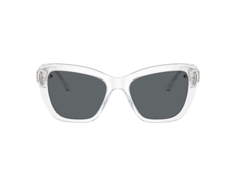 Swarovski Solglasögon SK 6018 102787