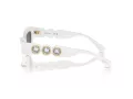 Swarovski Solglasögon SK 6021 105087