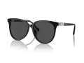 Swarovski Solglasögon SK 6023D 100187