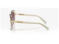 Swarovski Solglasögon SK 6026 30038H