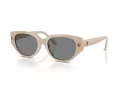 Swarovski Solglasögon SK 6035D 106887
