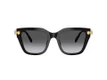 Swarovski Solglasögon SK 6041 1001T3