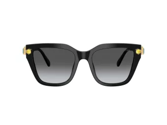 Swarovski Solglasögon SK 6041 1001T3