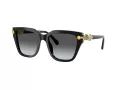 Swarovski Solglasögon SK 6041 1001T3