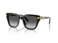 Swarovski Solglasögon SK 6041 1001T3