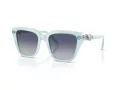 Swarovski Solglasögon SK 6041 10244L