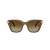 Swarovski Solglasögon SK 6041 1067T5