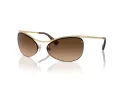 Swarovski Solglasögon SK 7018 400474