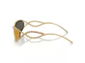 Swarovski Solglasögon SK 7024 40047P