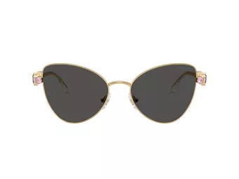 Swarovski Solglasögon SK 7034 404M87