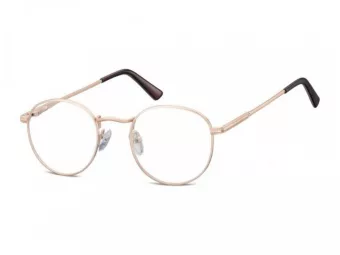 Berkeley Glasögon 604 F