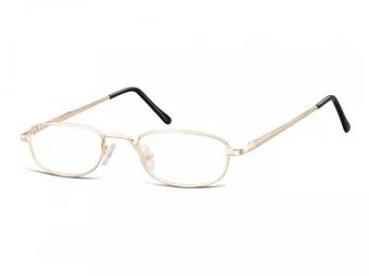 Berkeley Glasögon 784