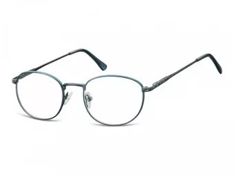 Berkeley Glasögon 794 B