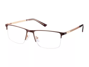 Berkeley Glasögon 868E