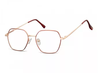 Berkeley Glasögon 911F
