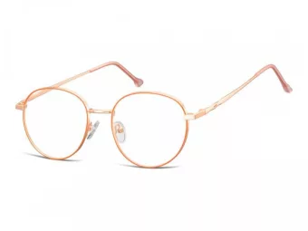 Berkeley Glasögon 912C