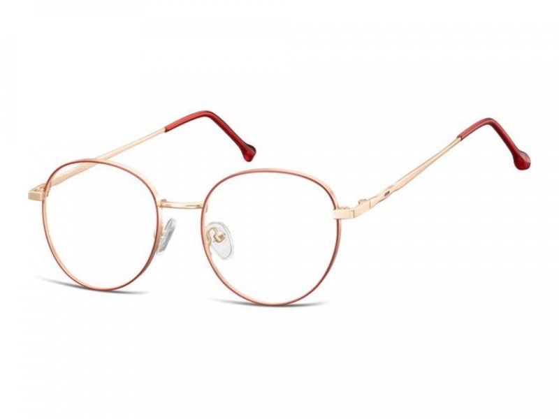 Berkeley Glasögon 912F