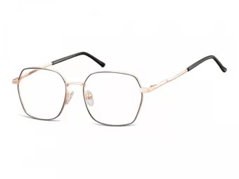Berkeley Glasögon 913B