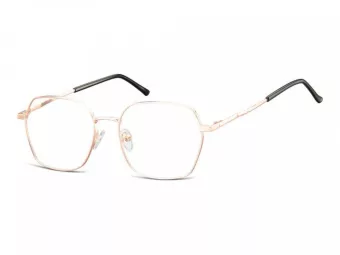 Berkeley Glasögon 913F
