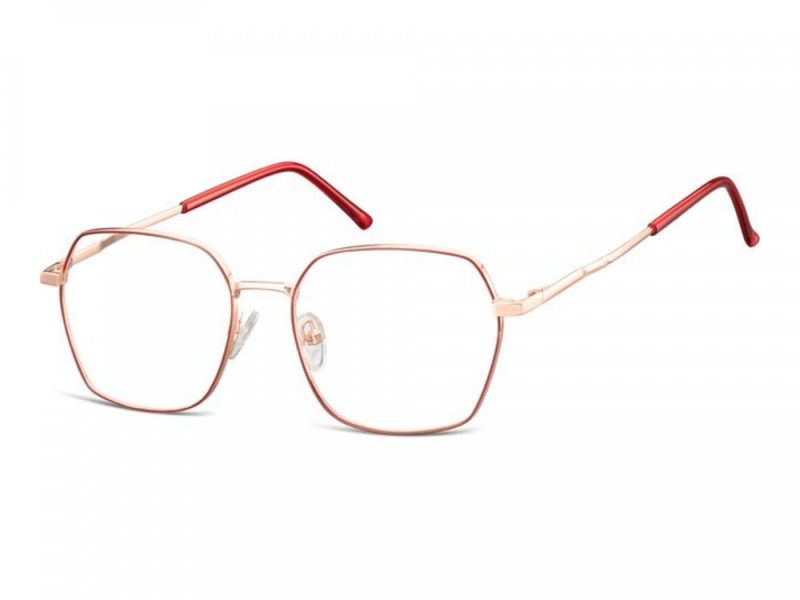 Berkeley Glasögon 913