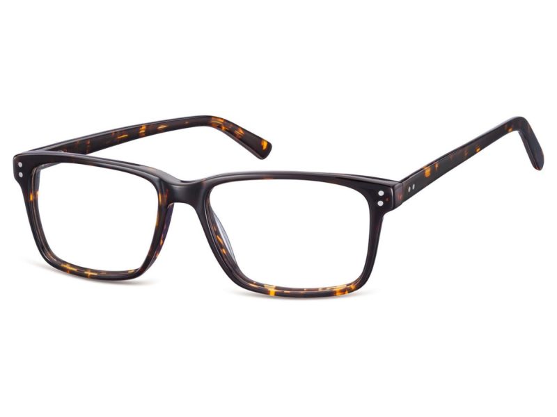Berkeley Glasögon A85A