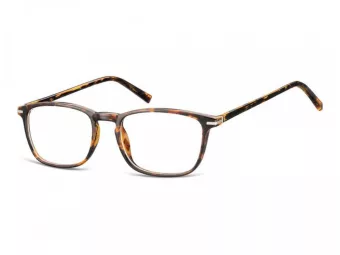 Berkeley Glasögon AC9C