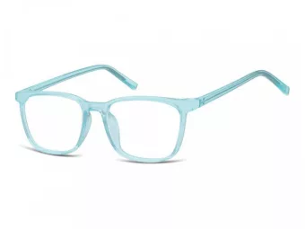 Berkeley Glasögon CP124A