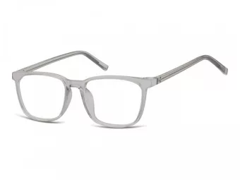 Berkeley Glasögon CP124
