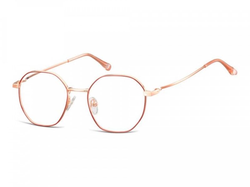 Berkeley Glasögon L126