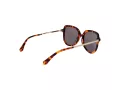 Ted Baker Solglasögon TB 1717 188