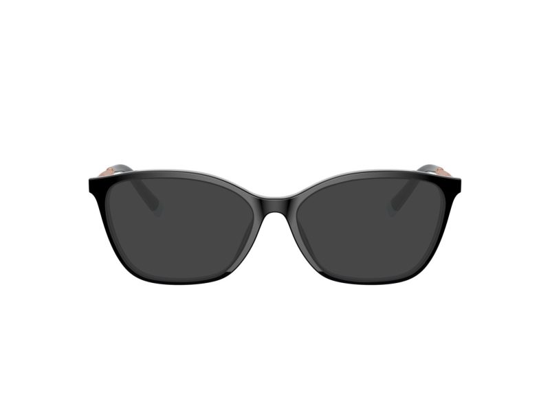 Tiffany Glasögon TF 2205 8001