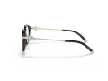 Tiffany Glasögon TF 2218D 8015