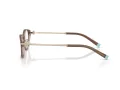 Tiffany Glasögon TF 2225D 8255