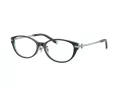 Tiffany Glasögon TF 2225D 8285