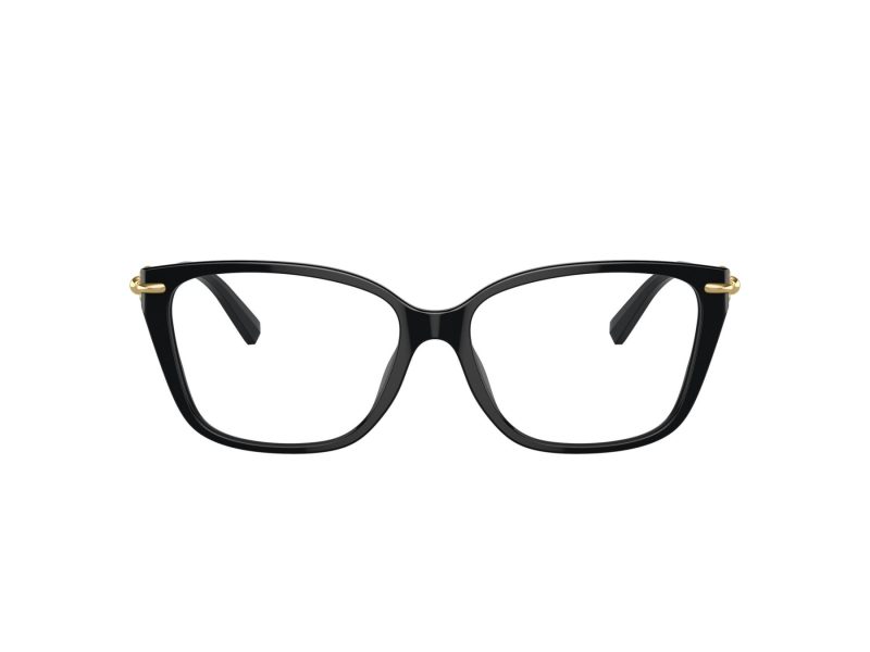 Tiffany Glasögon TF 2248K 8402