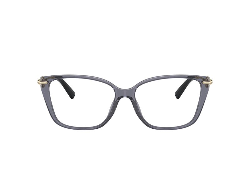 Tiffany Glasögon TF 2248K 8405