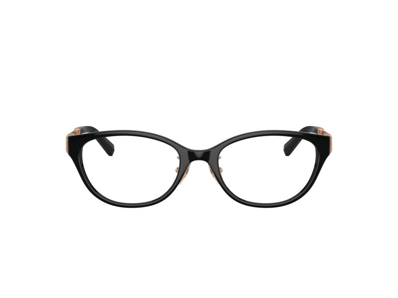 Tiffany Glasögon TF 2252D 8420