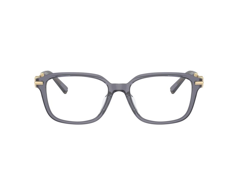 Tiffany Glasögon TF 2253D 8405