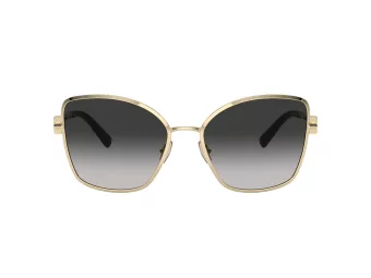 Tiffany Solglasögon TF 3102B 60213C