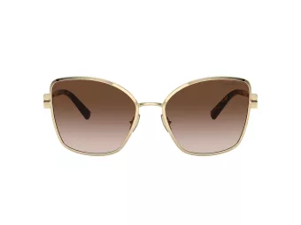 Tiffany Solglasögon TF 3102B 61893B